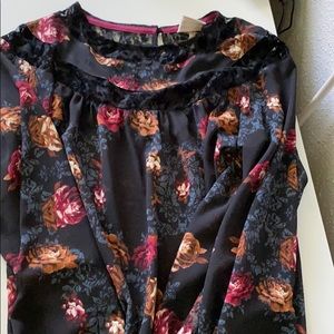 Gorgeous fall blouse